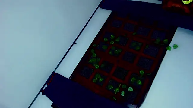 laaura dolll online show from March 27, 5:21 am