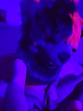 RadPawz furry online show from June 16, 9:15 pm
