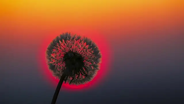 Sunning2 online show from September 10, 8:35 am