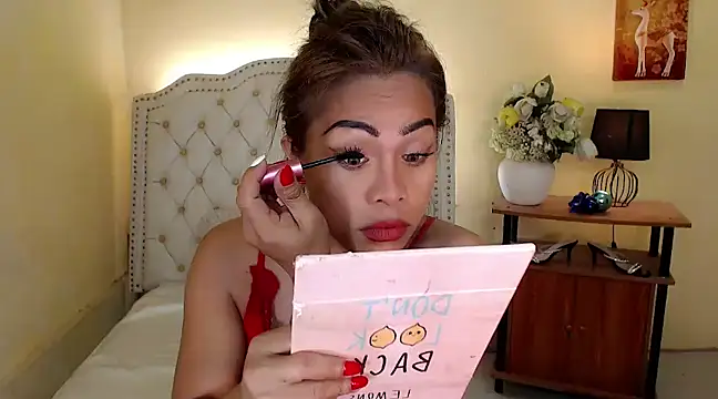 Snapshot of DreamLADYBOY chatting on December 16, 10:40 am DreamLADYBOY online show from December 16, 10:40 am