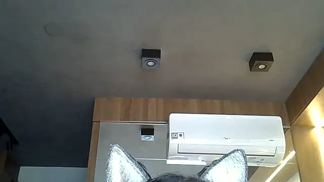 Skinny-Kitten online show from November 6, 10:04 am